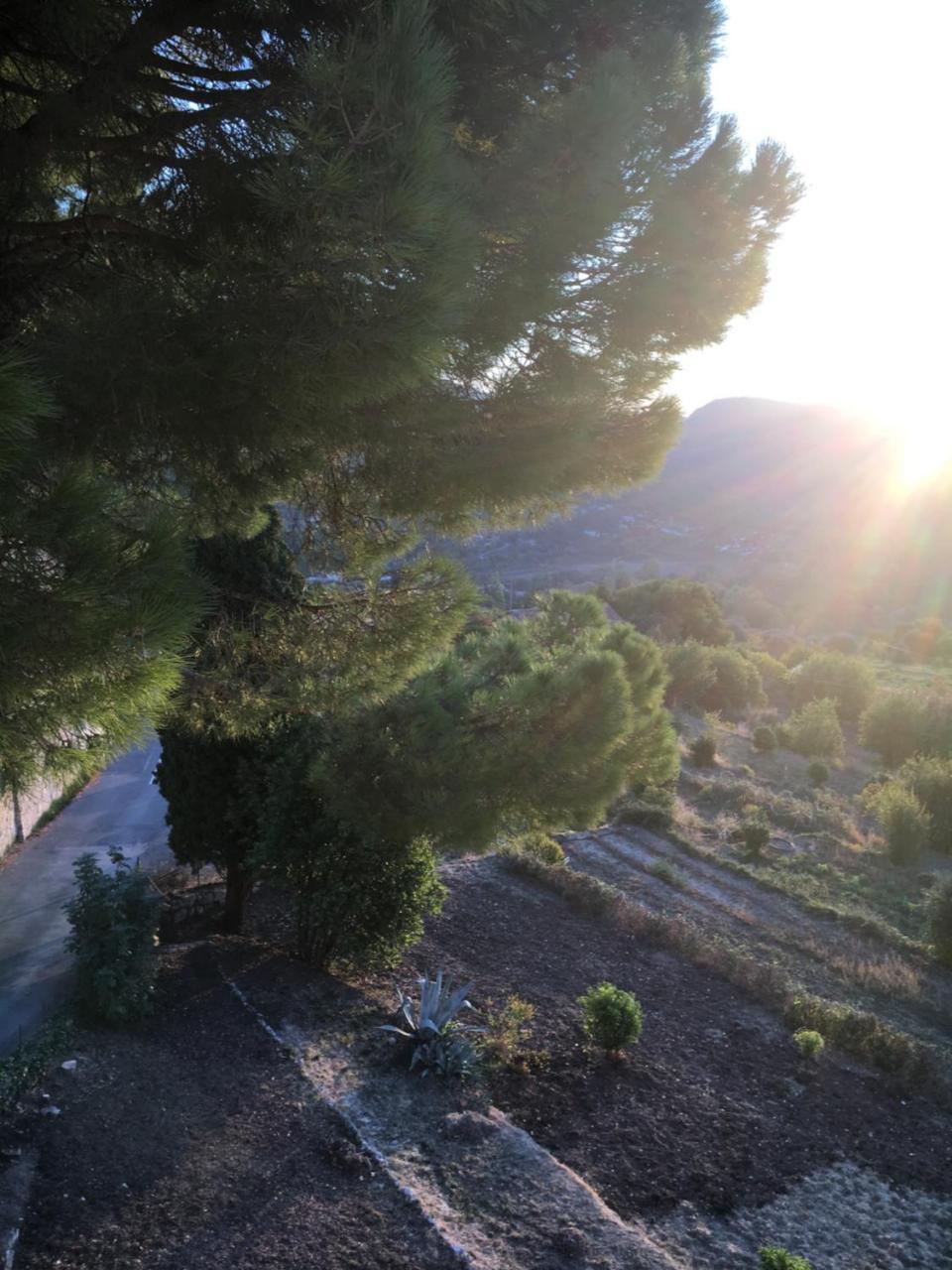 Hotel Particulier Des Jasmins Le Bar-sur-Loup 외부 사진